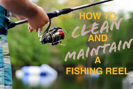 How To Clean And Maintain A Fishing Reel Fishing Reels Fish Fishing Equipment