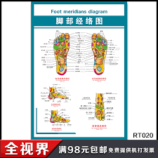 Buy Foot Foot Meridian Health Museum Of Human Meridian Chart
