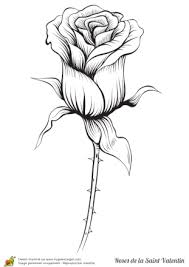 Coloriage Rose Rouge Coloriage Rose Dessin De Fleurs Au Crayon Coloriage