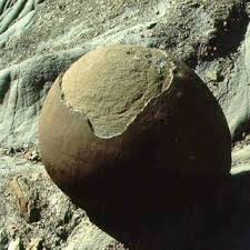 We did not find results for: Pdf Geomorfologie Relieful Petrografic