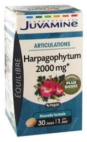Image result for Harpagophytum