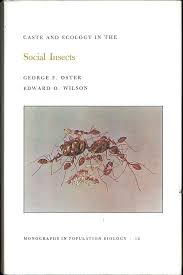 Caste and Ecology In Social Insects