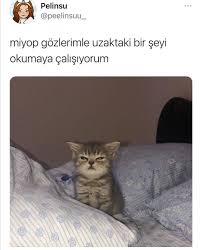 ece karaosman adli kullanicinin komik panosundaki pin komik komik seyler komik resimler