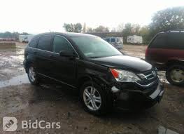 Image result for Crystal Black 2011 CRV
