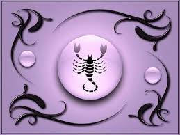 Difference Between October And November Scorpios