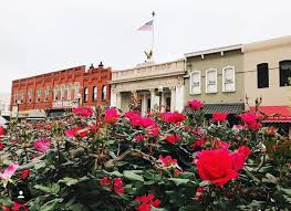 Flowers buy wall art from mark mckinney. Mckinney Dallas Fort Worth Real Estate The Rhodes Team