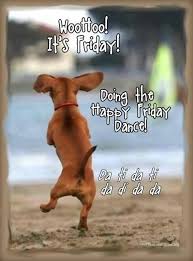 It's wednesday so here's my wise quote of the day… actually i got nothing. Funny Quotes About Friday At Work Funny Work Quotes Images Stock Photos Vectors Shutterstock Dogtrainingobedienceschool Com