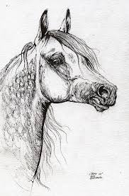 Grafik Polish Arabian Horse Ink Drawing 1 By Angel Tarantella Horse Art Horse Drawings Horses