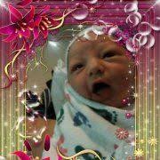 Annie Hoffer (anniehoffer)