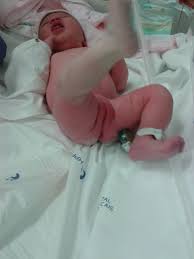 Image result for Harlequin Color Change