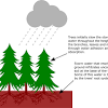 Flooded gardens and wet soil can cause even more problems than a drought. 3