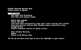 Windows Xp Advanced Options Boot Menu Free Knowledge Base The Duck Project Information For Everyone