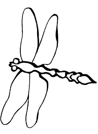 Simple Dragonfly Drawing Insect Coloring Pages Shape Coloring Pages Animal Coloring Pages
