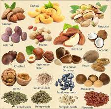 Types Of Nut English Vocabulary Learn English English Language Learning