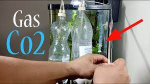 Cara membuat co2 aquascape diy murah mudah dan tahan lama beserta. Cara Mudah Membuat Diy Co2 Citric Acid Dan Baking Soda Cisod Untuk Aquascape Youtube