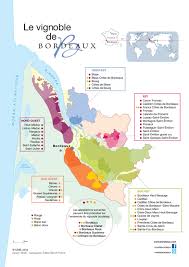 Petite Lecon Sur Les Cepages Merlot Cabernet Sauvignon Et Sauvignon Blanc Vin Bordeaux Vignoble De Bordeaux Carte Des Vins