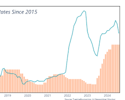Graph showing Turkey's inflation rate over the past 10 yearsの画像