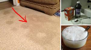 Everyone with a cat knows how hard it can be to get cat urine out of things and this stuff works. Ways To Get Rid Of Dog Urine Smell In Carpet Dogwalls