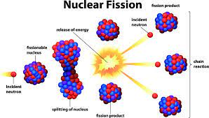 There are numerous radioactive isotopes that can be used for numeric dating. A Lifetime Of Fission The Discovery Of Nuclear Energy Lindauer Nobelpreistragertagungen