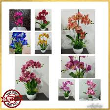11,753 likes · 1 talking about this. Buy Hot Item Bunga Orkid Siap Gubah 2 Tangkai Orkid Hiasan Decor Rumah Ruang Tamu Flower Bunga Murah Seetracker Malaysia