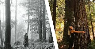 Taylor swift album taylor alison swift folk indie taylor swift wallpaper taylor swift pictures photo wall collage folklore aesthetic wallpapers folklore. Did Karlie Kloss Instagram About Taylor Swift S Folklore