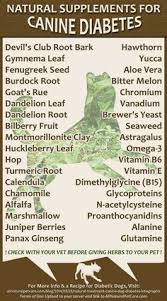 Commercial diets commercial diabetic canine diets are varied, to give the owner and veterinarian much more options when prescribing food for an affected dog. 60 Canine Diabetes Ideas Diabetic Dog Diabetes Canine