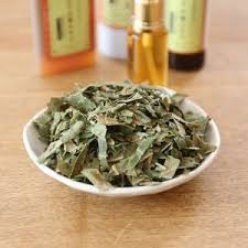 びわの葉エキスの作り方 How To Make Loquat Leaf Extract Home Made Loquet Lequeur Recipe Youtube