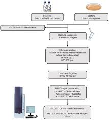 30 minutes with … each week, we spend half an hour (or thereabouts) with a musician or film. Frontiers Performance Evaluation Of The Mbt Star Carba Ivd Assay For The Detection Of Carbapenemases With Maldi Tof Ms Microbiology