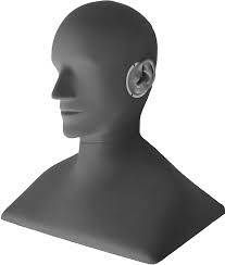 From Children to Adults: How Binaural Cues and Ear Canal Impedances Grow