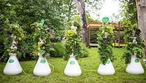 Maybe you would like to learn more about one of these? How To Easily Grow An Edible Garden While Helping Save The Planet