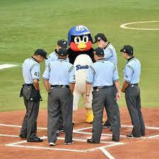 7人 6人 1羽 審判制 つば九郎 野球 審判 球団マスコット