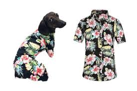 Proudly manufacturing and wholesaling hawaiian shirts in hawaii since 1992. 5 Best Matching Hawaiian Shirts For You And Your Dog