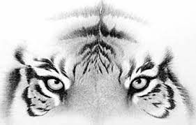Bengal Eyes By Dean Cannon Tiger Eyes Tattoo Tattoos Tiger Tattoo Design