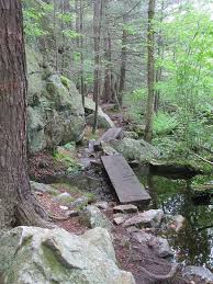 051512 Undercliff Trail Lynn Woods Lynn Ma Oh The Places You Ll Go The Places Youll Go Lynn