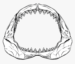 He knows of none found larger. Shark Jaws Png Transparent Shark Jaws Images Great White Shark Jaw Drawing Png Download Transparent Png Image Pngitem