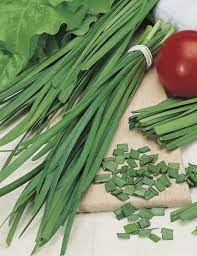 Van hoegaerden ives is gespecialiseerd in: Chives Garlic Chive Seeds Herb Seeds By Mr Fothergills