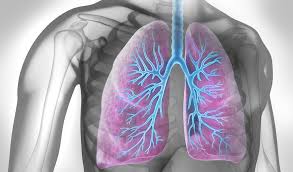Alkohol Bei Asthma Copd Wie Reagiert Die Lunge Leichter Atmen