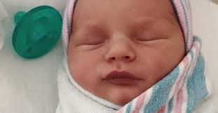 Josh Peck Welcomes Son Max Milo Peck