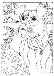Chihuahua, yorkshire terrier, dachshund, boxer, pit bull, bichon frise, poodle, cocker free dog coloring pages click on any dog image below to print it. Coloring Page Boxer Img 28204 Horse Coloring Pages Dog Coloring Page Coloring Pages