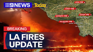 Image from encrypted-tbn0.gstatic.com