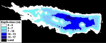 Clearwaters Oneida Lake Undergoing Ecological Change