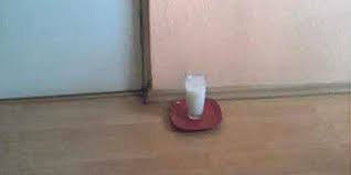 Sesungguhnya ia keluar dari pohon yang diberkahi (hr. Taruh Garam Air Dalam Gelas Mengejutkan Lihat Yang Terjadi Dream Co Id