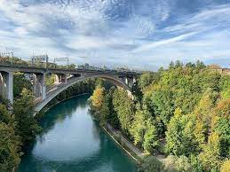herbst autuum colors leaves trees green brown river aare bern switzerland
