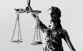 Image result for Justicia engleriana