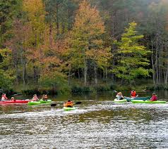 Annual Report 2017 CC17 092618.indd