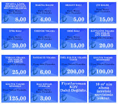 Koltuk Yikama Fiyatlari Ankara En Uygun