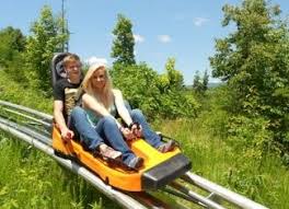 Must Have Coupons For Smoky Mountain Attractions You Can T Afford To Miss This Spring Smokey Mountains Vacation Alpine Coaster Smoky Mountains Attractions