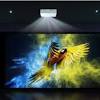 Depending upon the size and the quality of the projector the artists can get the different sizes of their artwork. 1