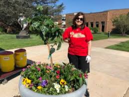 Bildergebnis für Andrea Robbins