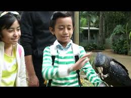 Stream the entire movie from start to finish on your computer, laptop, tablet or phone thousands of popular movies similar to strawberi karipap hello gold coast (2015) are available to watch for free. Strawberi Karipap Hello Gold Coast Mia Sara Rykarl